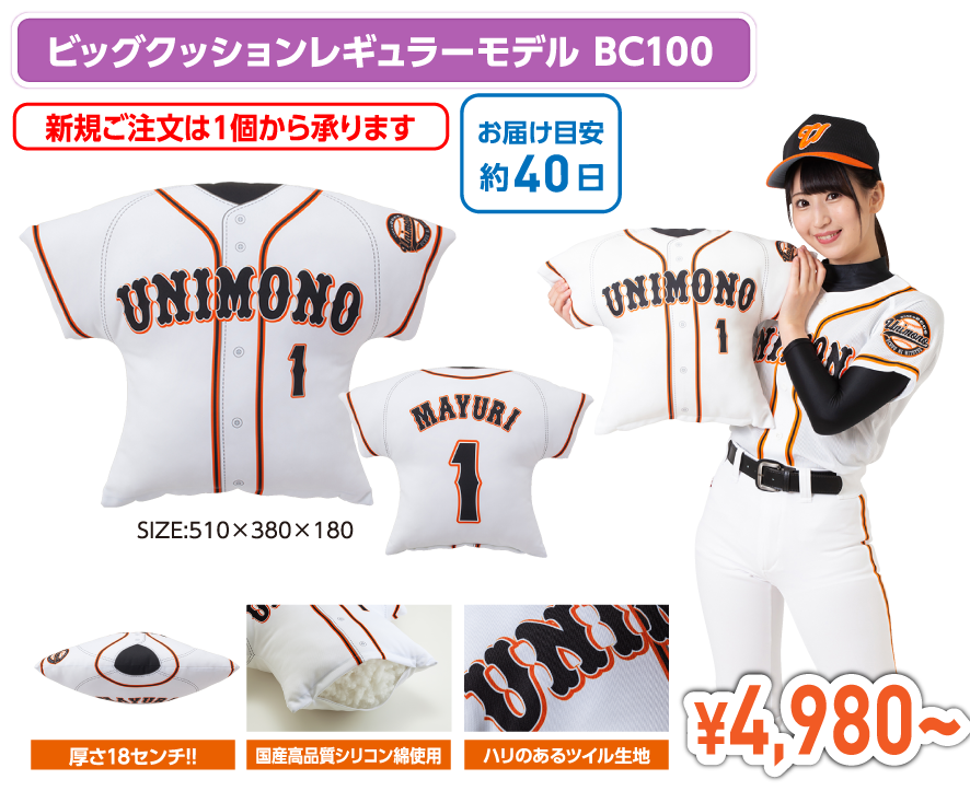 ビッグクッションレギュラーモデルBC100
